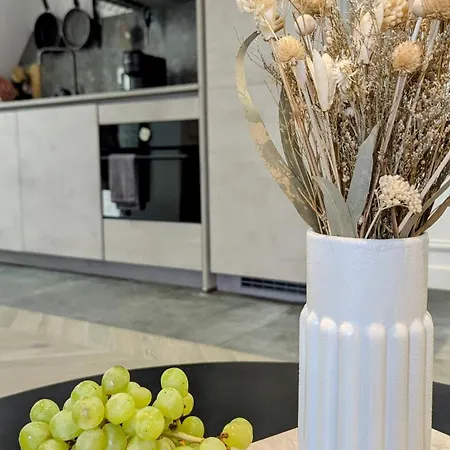 T2 Au Coeur Historique De Avec Clim & Smarttv Apartman Dijon